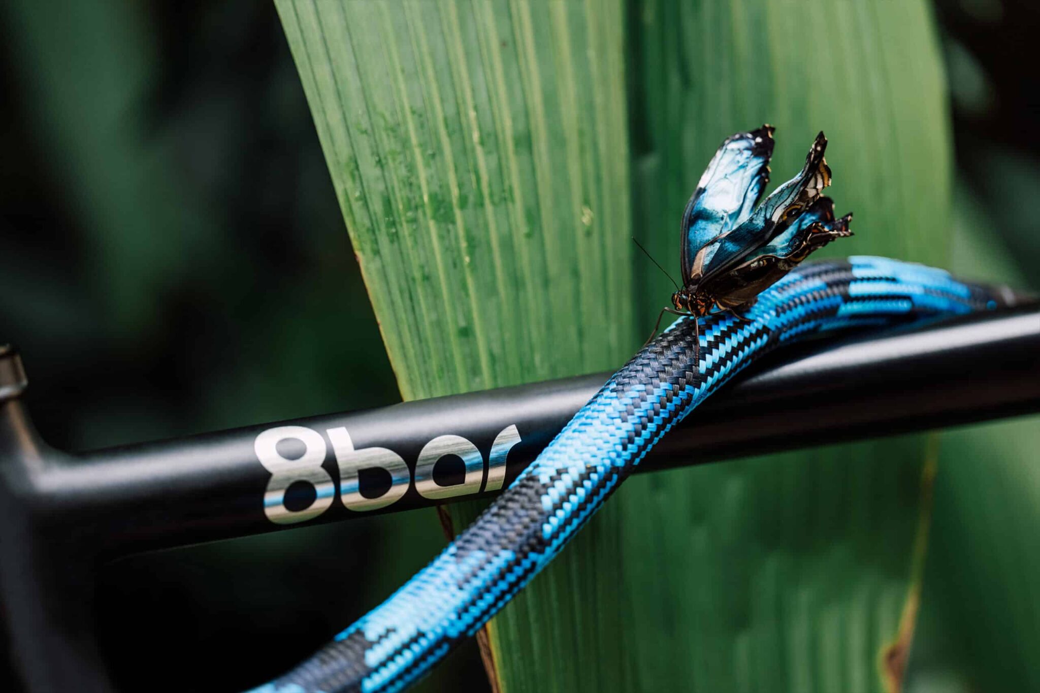 tex-lock Textilseil in morpho blue an schwarzem Fahrradrahmen mit blauem Schmetterling