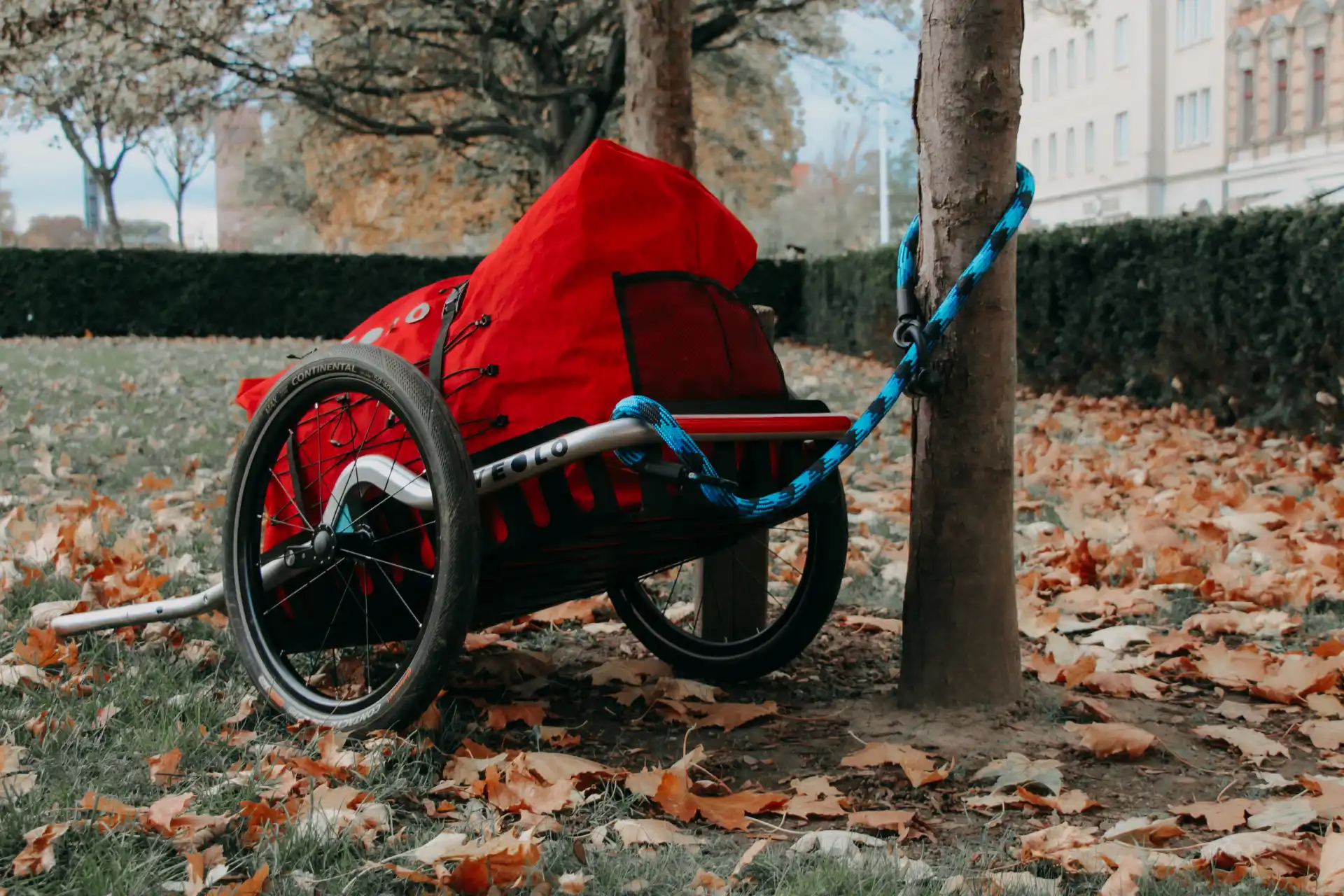 Veolo Bike Trailer mit roter Tasche an Baum gesichert mit tex–lock morpho blue